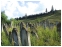 Old Jewish Cemetery near Suceava, North Romania